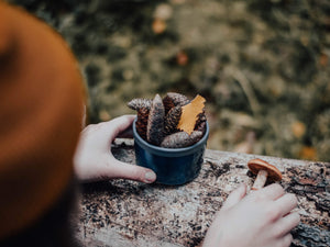 Herbstaktivitäten mit Kindern – Ideen für kleine und große Kinder